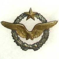 Brevet de Pilote ,...