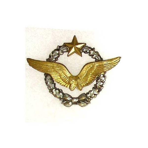 Brevet de Pilote d'Avion   (Sergent Aubin)