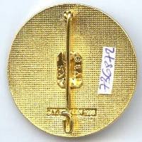 35° Régiment d'Artillerie Parachutiste / 1° Batterie , rond, aigle noir