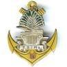 10° Escadron Blindé d'Infanterie de Marine de Madagascar, jeep