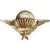 En argent , Brevet de Parachutiste , poinçons sur la coupole