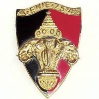 75° Bataillon du Génie / 4° Compagnie au Laos , éléphants fixés par deux tiges traversantes