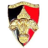 75° Bataillon du Génie / 4° Compagnie au Laos , éléphants fixés par deux tiges traversantes