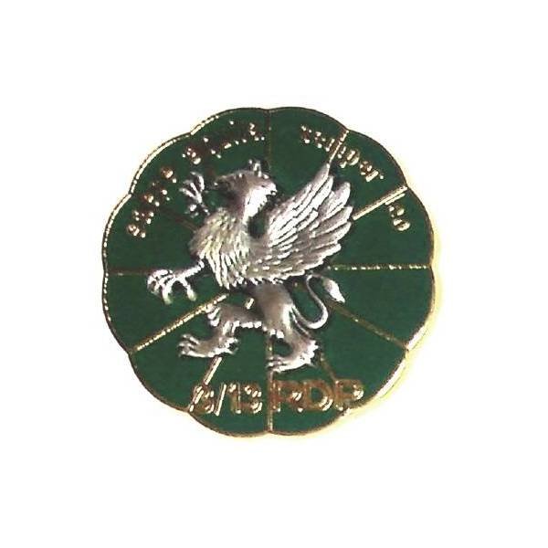 13° Régiment de Dragons Parachutistes / 3°Escadron , "saepe aquila semper leo"