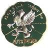 13° Régiment de Dragons Parachutistes / 3°Escadron , "saepe aquila semper leo"