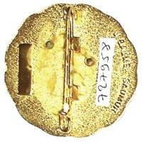 13° Régiment de Dragons Parachutistes / 3°Escadron , "saepe aquila semper leo"