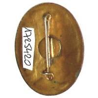 99° Régiment d'Infanterie Alpine , lion couché, ovale, sans légion d'honneur, légères rayures