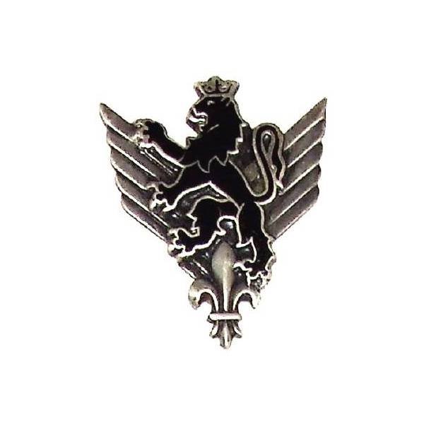 8° Groupe d'Aviation Légère Divisionnaire , lion noir debout sur fleur de lys, dos guilloché
