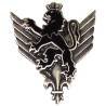 8° Groupe d'Aviation Légère Divisionnaire , lion noir debout sur fleur de lys, dos guilloché