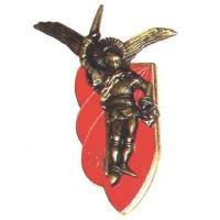 9° Régiment de Chasseurs...