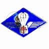 1° Compagnie de Chasseurs Parachutistes  FFL 1941 , visiblement en argent, 56 x 35, poids 20 grammes), matriculé 17