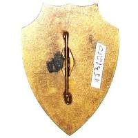 Corps Franc des Truands , FFI Auvergne, retirage (JMF)