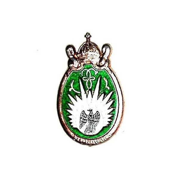 13° Régiment de Dragons Parachutistes , relief, aigle sur fond blanc, vert translucide