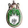 13° Régiment de Dragons Parachutistes , relief, aigle sur fond blanc, vert translucide