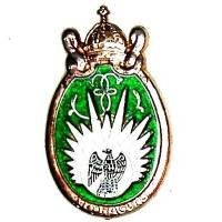 13° Régiment de Dragons Parachutistes , relief, aigle sur fond blanc, vert translucide