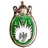 13° Régiment de Dragons Parachutistes , relief, aigle sur fond blanc, vert translucide