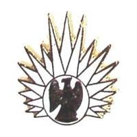 13° Régiment de Dragons...