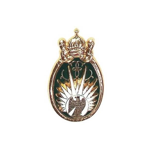 13° Régiment de Dragons Parachutistes , relief, aigle sur fond blanc tête à gauche