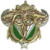 13° Régiment de Dragons...