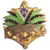 14° Régiment de Tirailleurs Sénégalais , panthère marchant, vert clair, doré, marquage en V, gros boléro lisse