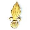 1° Régiment Etranger d'Infanterie , flamme de bérêt (Algérie) , sans attache