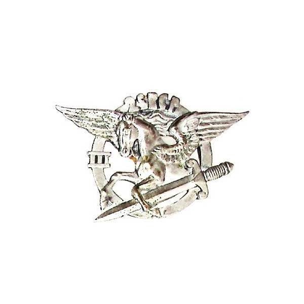 2° Régiment de Parachutistes Coloniaux / 3° Bataillon , pégase, patiné