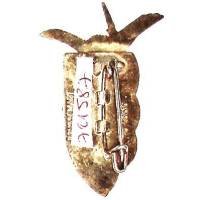 9° Régiment de Chasseurs Parachutistes , 40 mm, bordeaux translucide, plaqué argent (poinçon)