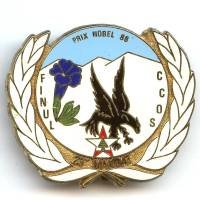 420° DSL / CCOS  FINUL  23°...