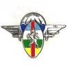 1° Régiment de Hussards Parachutistes / 1° Escadron  République Centre Africaine  85 , patiné