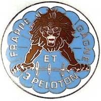 1° Régiment de Hussards Parachutistes / 2° Escadron / 3° Peloton , lion de face sur coupole bleue, frappe et gagne