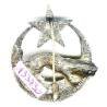 3° Régiment de Spahis Agériens , panthère relief, dos guilloché, attache à pivot verticale
