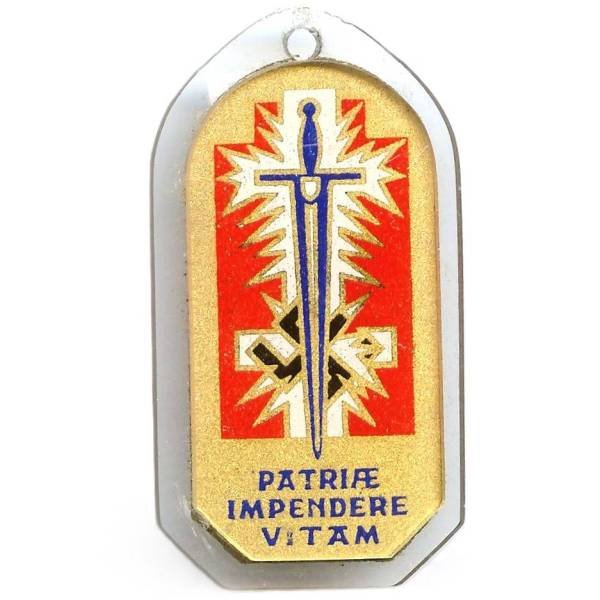 Troupes d'Occupation en Allemagne , backélite, 30x58, sautoir