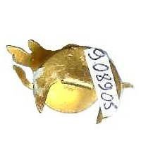 25° Régiment de Tirailleurs (Algériens) , cigogne, réduction, attache boutonnière
