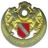 8° Régiment de Spahis Algériens , doré, devise française, bande argentée sans attache