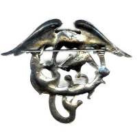 5° Régiment de Chasseurs d'Afrique , dragon et serpent, serpent doré