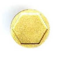 1° Compagnie Saharienne Portée de la Légion Etrangère , tranché, vert clair, réduction 17 mm, sans attache