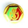 1° Compagnie Saharienne Portée de la Légion Etrangère , tranché, vert clair, réduction 17 mm, sans attache