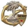 1° Régiment de Tirailleurs Sénégalais , émail, boléro DPN