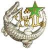 4° 1/2 Brigade Algéro-Marocaine , crocodile, étoile vert clair, anneaux, patiné