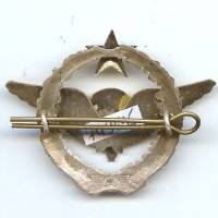 Brevet Parachutiste d' Essais de l' Armée de l' Air, sigle