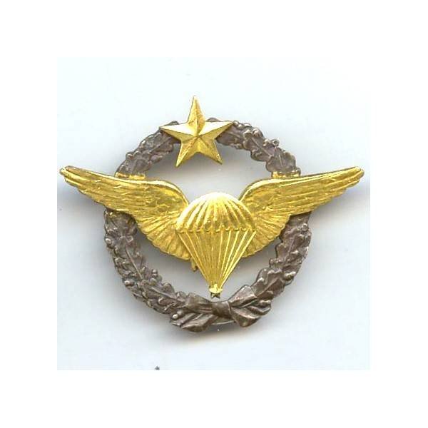 Brevet Parachutiste d' Essais de l' Armée de l' Air