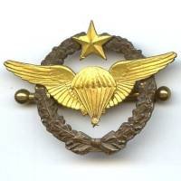 Brevet Parachutiste d' Essais de l' Armée de l' Air
