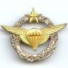 Brevet Parachutiste d' Essais de l' Armée de l' Air, estampé