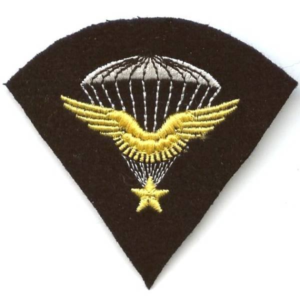 Brevet Para d' Essais de l' Armée de l' Air, tissu brodé mat