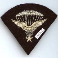 Brevet Para d' Essais de l' Armée de l' Air, tissu canetille