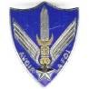 Peloton Avions de la 11° Division d'Infanterie , légères rayures