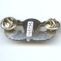 Brevet Para US, argenté, attache US