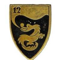 12° Régiment de Dragons , écu, dragon sur fond noir, peint