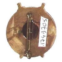154° Régiment d'Infanterie de Forteresse , bouclier des Vosges, épingle non d'origine recollée