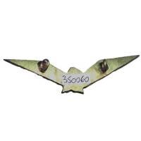 185° Compagnie d'Aérostiers , tête d' indien,  plumes tricolores, peint